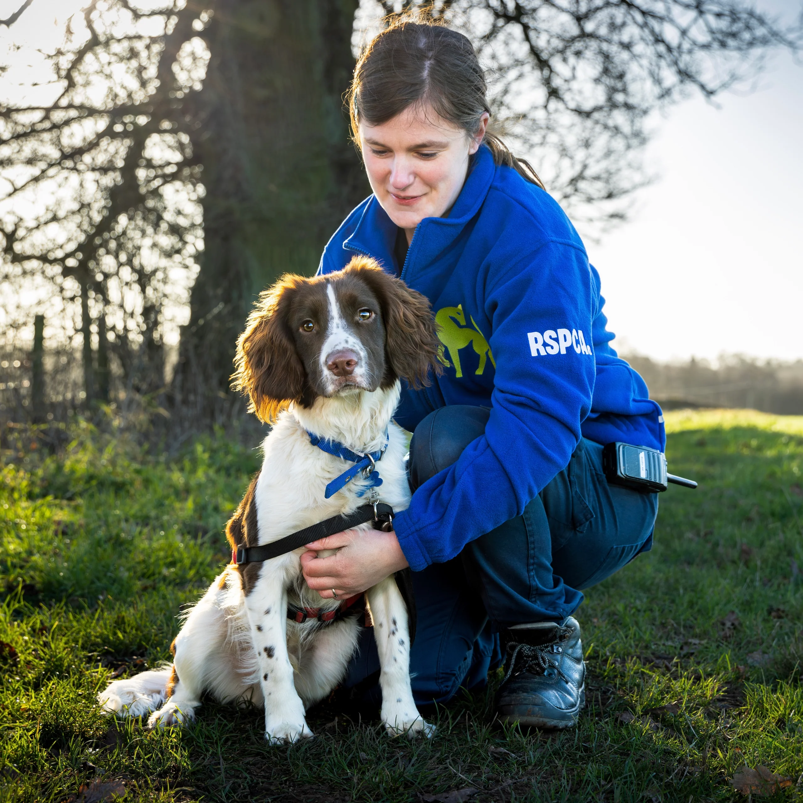 We've guaranteed a £1,000,000 donation for THE RSPCA